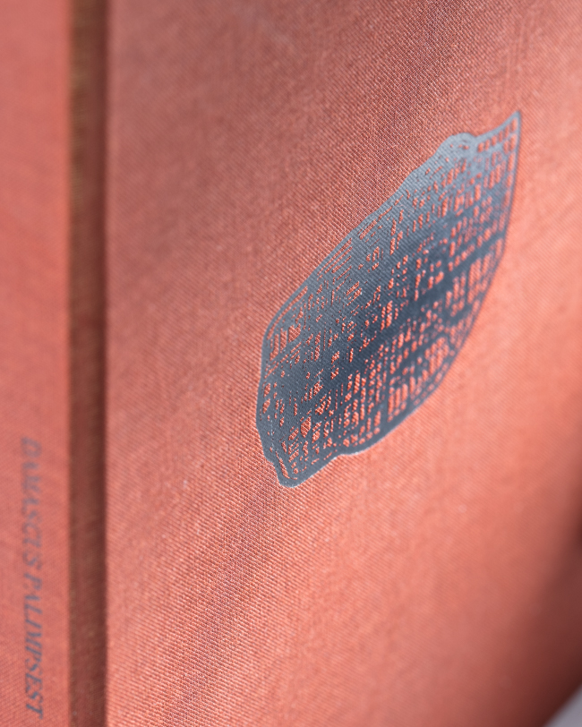 Martin Fischer Architekturbuch, Santiago Espitia